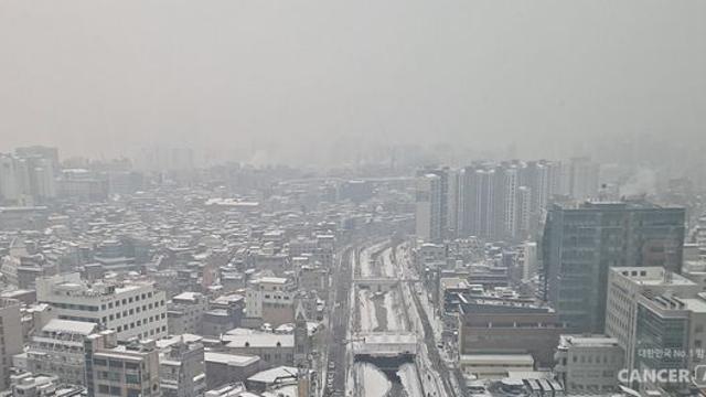 폐암의 32% 차지 선암, 대기오염이 주요 암 발생 요인