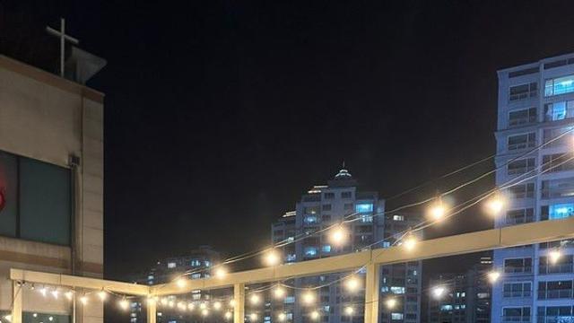 강아지와 특별한 시간! 서울·경기 인기 애견카페 모음