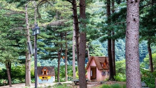 가평, 자연 속에서 즐기는 글램핑 BEST 5!