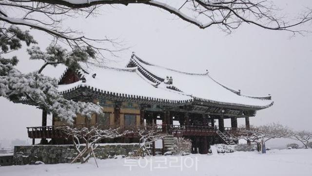 밀양, 자연과 역사 속에서 힐링! 꼭 가봐야 할 여행지 BEST 5
