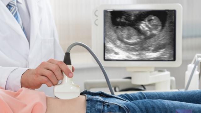 저출산 시대인데 의료공백 어쩌나... 산부인과 전공의 확보율 5.9%