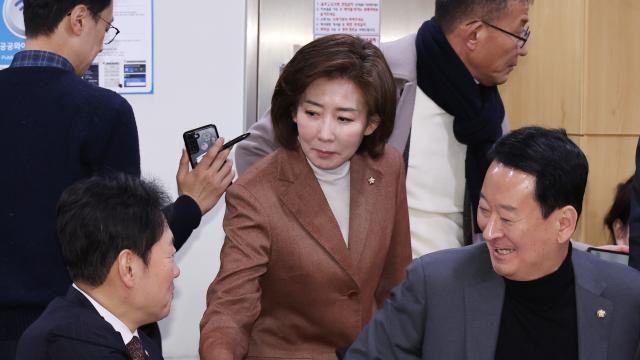 나경원, '中 딥시크' 정부기관 사용 금지법' 대표발의