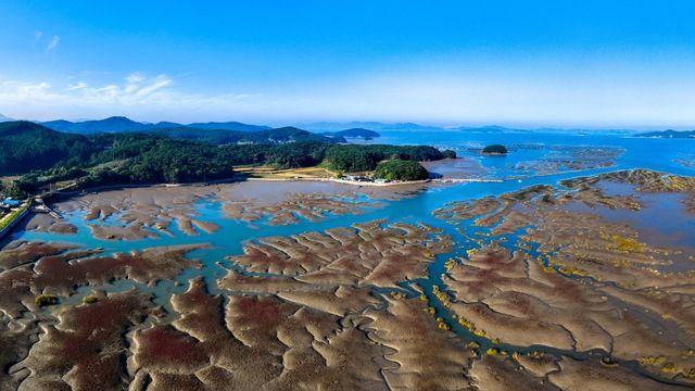 충남도, '서산 가로림만' ‘세계유산’ 등재 신청...내년 7월 최종 판가름