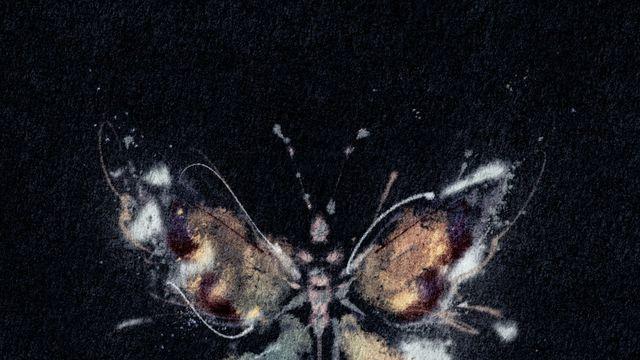 ‘운명적 사랑’ 마마무 휘인, ‘세 번의 날갯짓을 약속해’ 발매