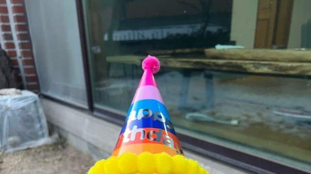 우리 애 생일이라 올리는 사진
