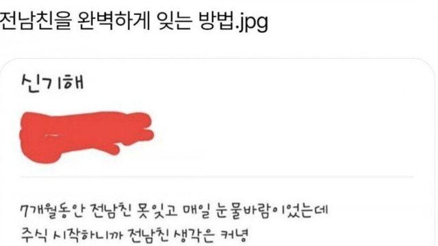 [유머] 	        전남친을 완벽하게 잊는 방법