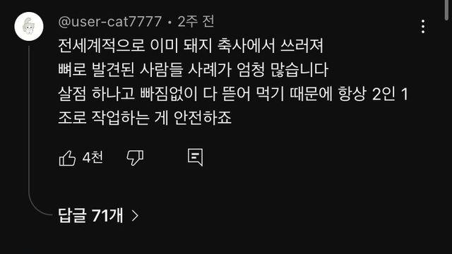 우리가 돼지에 대해 몰랐던 사실 ㄷㄷ.jpg