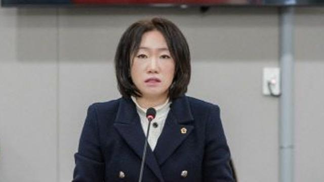 경기도의회 이혜원 의원, '행정 내실화·군소음 피해 개선' 조례안 등 의결