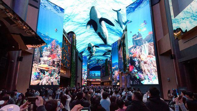 오로라, 개장 1년 만에 500만 명 방문…소개 영상 1.6억 뷰