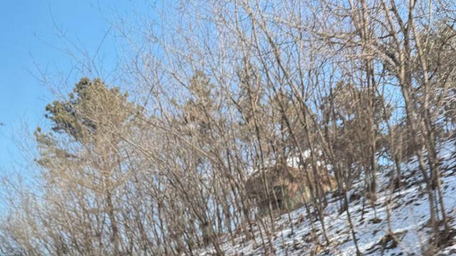 A5냐 A6냐…국내서 포착된 아우디 위장막 차 두고 논란