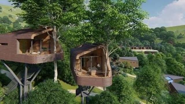 트리하우스 품은 서울 첫 자연휴양림 '수락 휴' 5월 개장