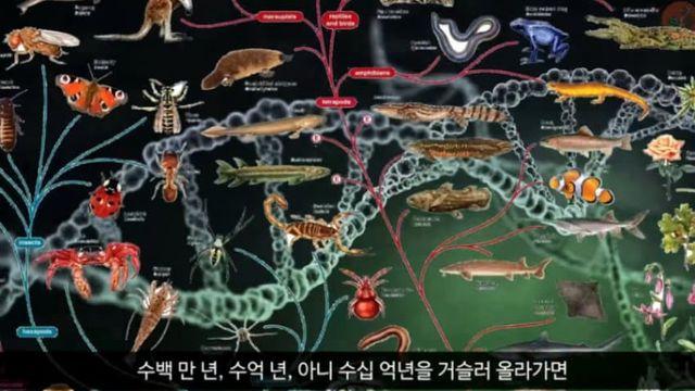모든 생명체의 공통조상은 누구일까?