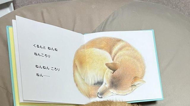 동화책 그림과 정말 똑같이 생김