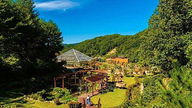 시니어들은 무료 입장... 올봄 꼭 가봐야 할 강원 나들이 명소 2곳