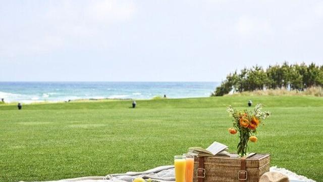 해비치 리조트, 봄맞이 ‘스프링 피크닉’ 패키지로 특별한 제주 여행