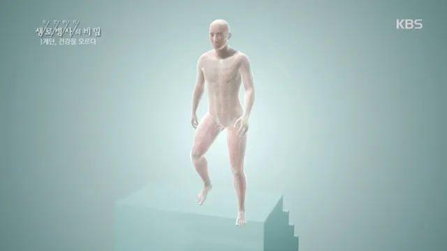 계단 오르기 운동의 효과
