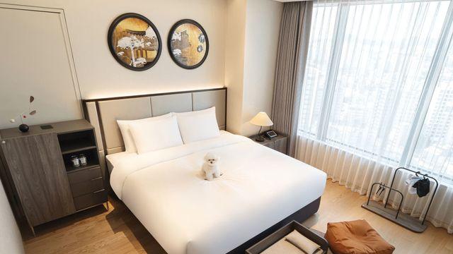 “댕댕이도 체크인 해요“ 반려동물과 함께 즐기는 ‘펫캉스’ 인기