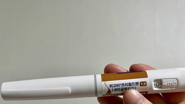 다이어트 주사제 위고비 후기
