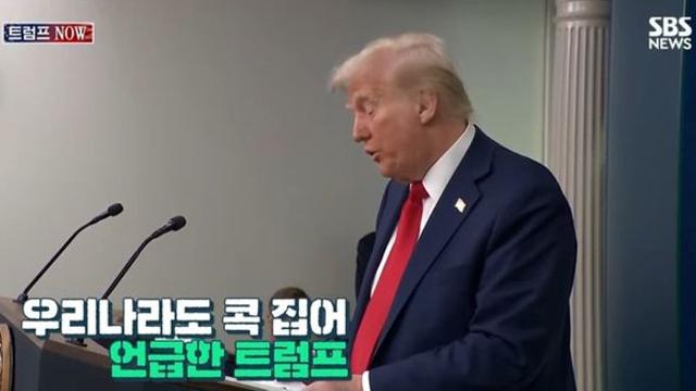 트럼프 