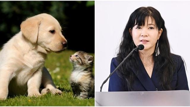패츠마인, 국산 황태 사료로 세계 반려동물 사로잡는다