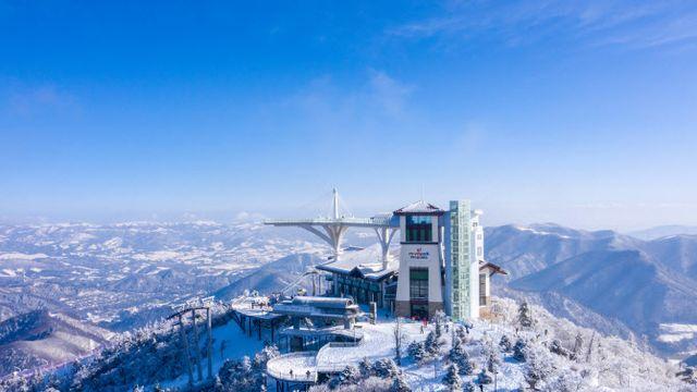 강원도 평창 발왕산으로 환상적인 상고대 절경 보러 오세요