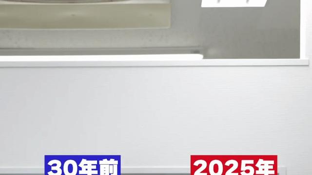 1995년 vs 2025년 일본 물가 비교