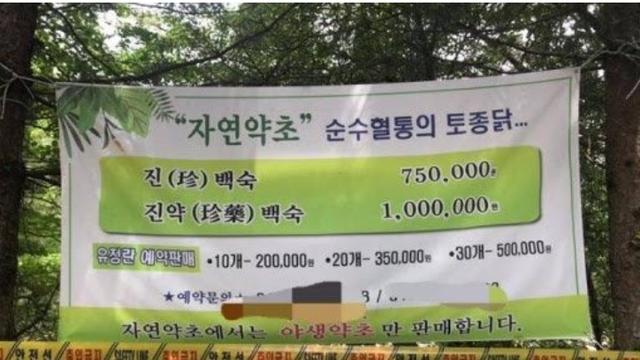 닭백숙 한마리 