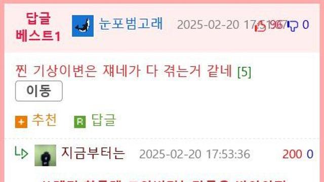 디트로이트 정신나간 근황.mp4