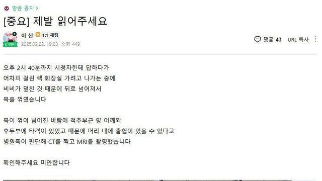 버튜버 휴방 이유