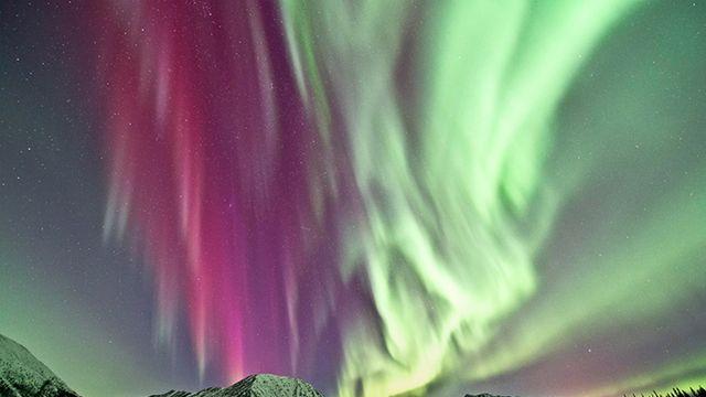 나에게 딱 맞는 캐나다 여행코스, 어디? 캐나다 관광청, 특별한 경험 할 수 있는 여행지 소개