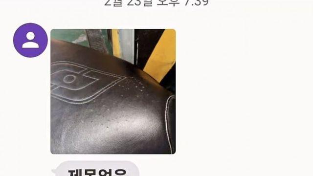 인스타그램 캣맘 레전드...jpg
