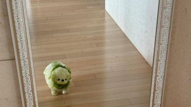 어느 푸드 스타일리스트의 기발한 작품들