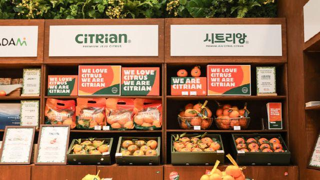 시트러스 브랜드 시트리앙, 더현대 서울 팝업스토어 참가