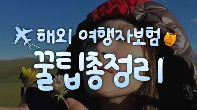 한눈에 보는 여행자보험 꿀팁 및 체크사항 (+ 여행자보험 비교 및 추천)