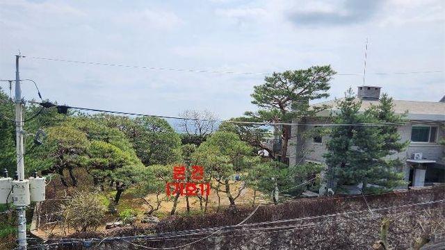 '현대가 3세' 정대선 소유 성북동 대지·고급빌라 경매 넘어가