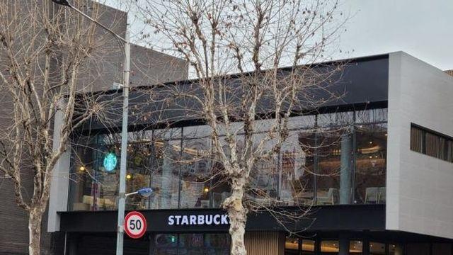 한 스타벅스 매장 앞에 썩어버린 가로수가 방치된 이유