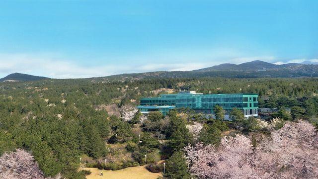 제주 숨은 벚꽃 명소서 힐링여행!...WE호텔제주, 벚꽃주간 이벤트 실시