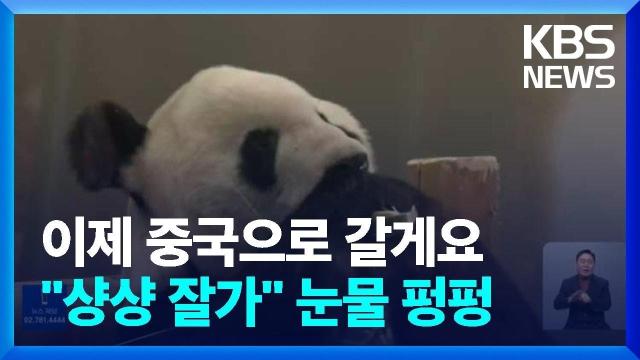 몇 달후 에버랜드에서 볼 수 있는 것