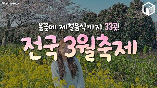 2025 전국 3월 축제 일정 및 하는 곳 총정리 (+지역별)