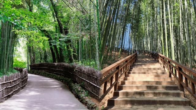 “짧아도 알차게!”...당일치기로 떠나기 좋은 담양 가볼만한 곳 BEST 4 추천