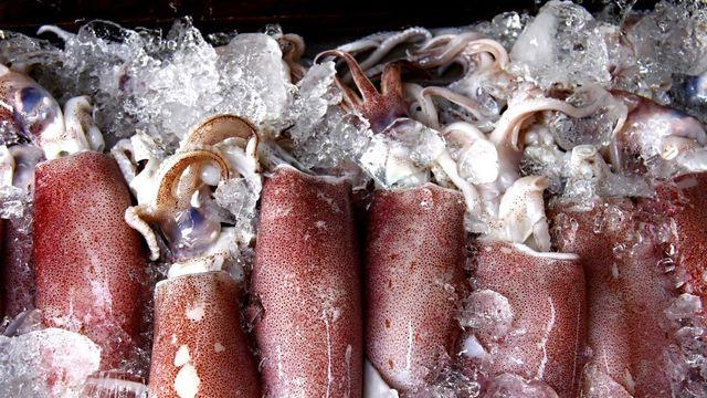 “이제는 오징어도 ‘금값’”…가격 폭등에 소비자들 '비상'