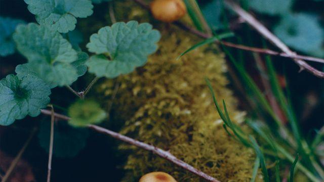 Little Things Mean A Lot | 월드 리포트