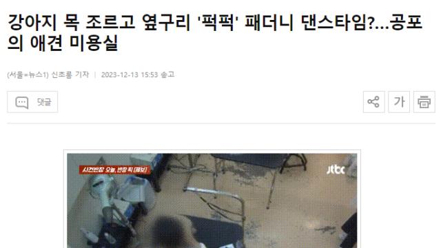 강아지 목 조르고 패더니 춤추는 강아지미용사 ㄷㄷㄷ