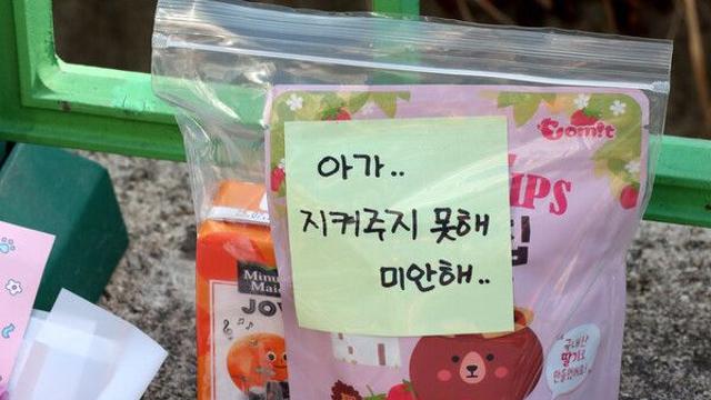 대전 초등학교 살인 사건, 범인 교사 얼굴 나이 등 신상정보 공개 결정