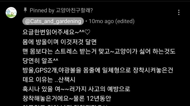 영하 17도에도 산책가자고 주인말 안듣는 고양이의 최후 ㄷㄷㄷ..GIF