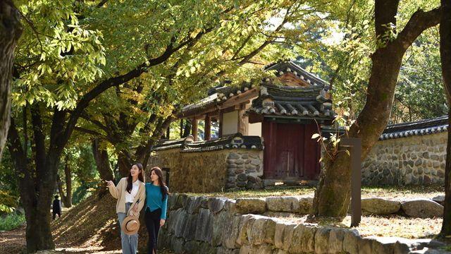 영주 가볼만한 곳, 전통문화와 고즈넉한 풍경 속 여행