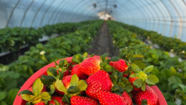 남양주 아이들과 가볼만한 곳, 배움과 놀이가 함께하는 여행지는?
