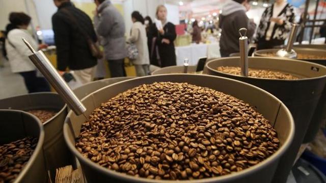 커피 원두값 천정부지로 오르자… 미래형 작물로 주목받는 뜻밖의 '품종'