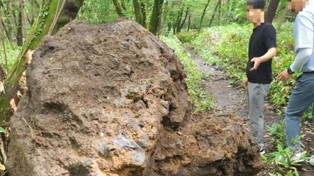 한라산 인근서 4t 자연석 훔치던 일당, 실형 구형