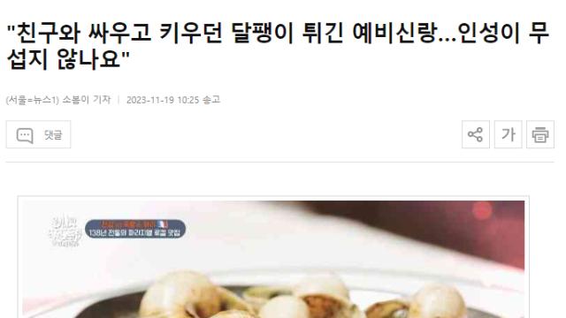 친구와 싸우고 키우던 애완 달팽이 튀긴 예비신랑 ㄷㄷ